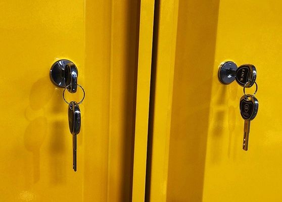 Αγορά Ντουλάπι Χημικών με Διαστάσεις 109x46x123CM, 109x46x165CM και 109x86x165CM για Αποθήκευση Επικίνδυνων Υλικών ηλεκτρονική κατασκευή